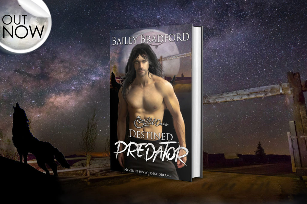 Destined Predator by Bailey Bradford