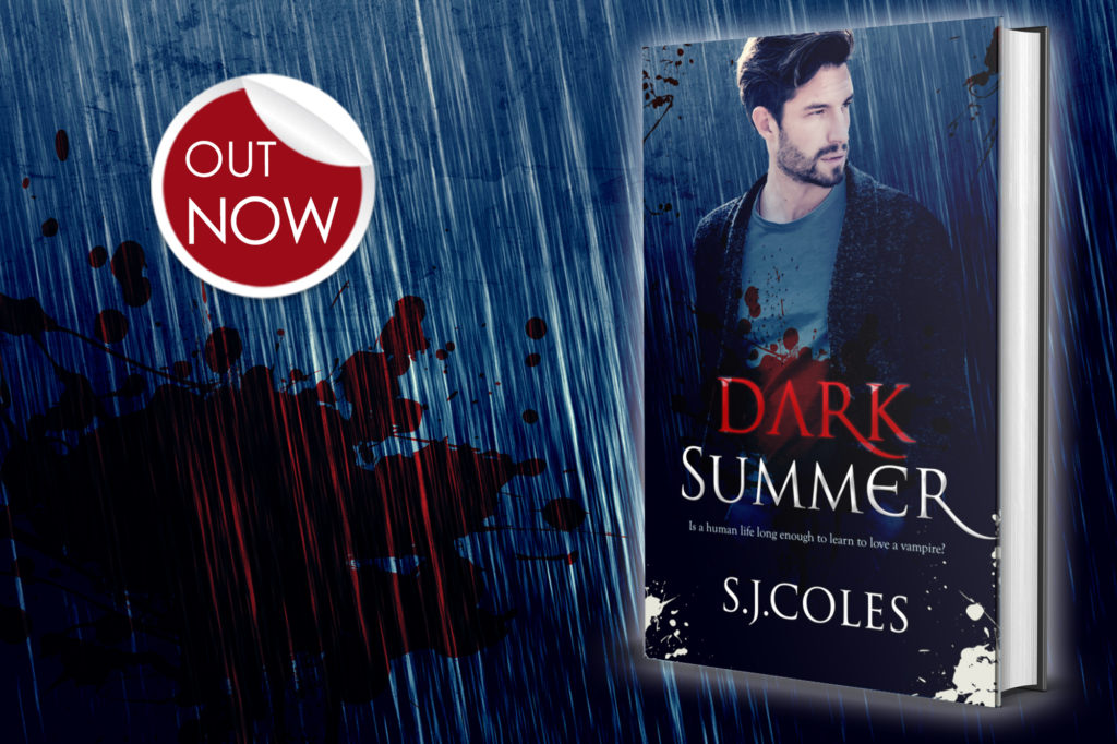 Dark Summer by S.J. Coles